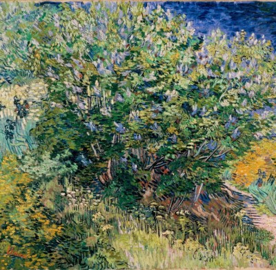Grafika 1500 - Vincent Van Gogh - Lilas, 1889