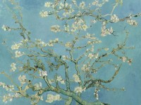 vincent-van-gogh-amandier-en-fleurs-1890-puzzle-2000-pieces_45374-1_fs.jpg