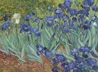 van-gogh-vincent-les-iris-1889-puzzle-2000-pieces_49441-1_fs.jpg