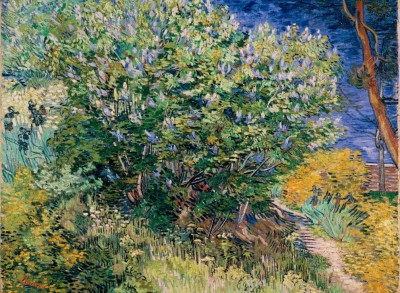 Grafika 2000 - Vincent Van Gogh - Lilas, 1889
