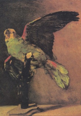 Grafika 1000 - Vincent Van Gogh : The Green Parrot, 1886