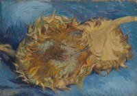 van-gogh-vincent-tournesols-1887-puzzle-1000-pieces_52912-1_fs.jpg