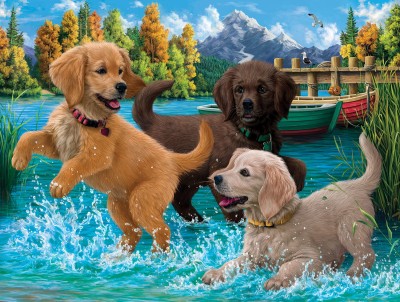 SunsOut 500 - Puppies Make a Splash