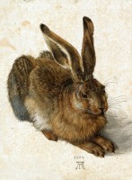 albrecht-durer-the-rabbit-1502-jigsaw-puzzle-2000-pieces.55966-1.fs.jpg