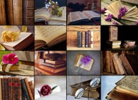 collage-livres-puzzle-2000-pieces.54803-1.fs.jpg
