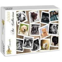 chiens-puzzle-2000-pieces.59646-2.fs.jpg