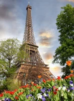 tour-eiffel-paris-puzzle-2000-pieces.55546-1.fs.jpg