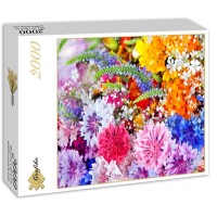 explosion-de-fleurs-puzzle-2000-pieces.55691-2.fs.jpg