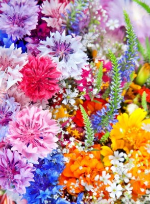 Grafika 2000 - Flower Blast