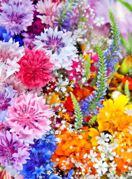 explosion-de-fleurs-puzzle-2000-pieces.55691-1.fs.jpg