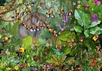 francois-ruyer-jungle-puzzle-2000-pieces.61790-1.fs.jpg