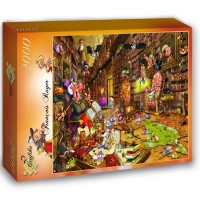 francois-ruyer-witch-jigsaw-puzzle-2000-pieces.54721-2.fs.jpg