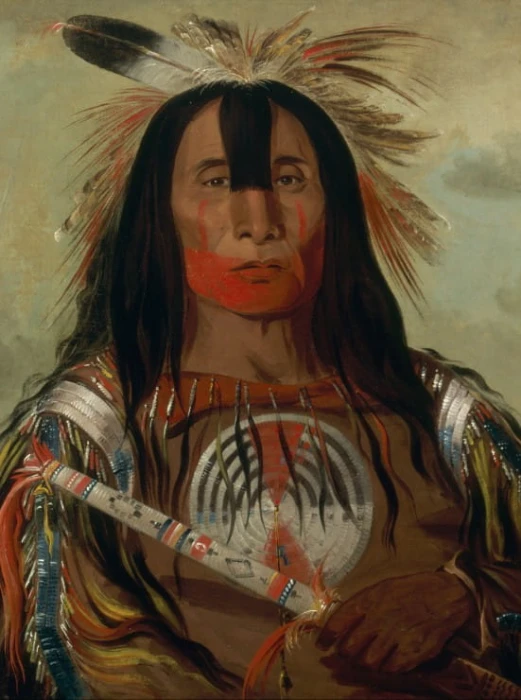 george-catlin-stu-mick-o-sucks-buffalo-bulls-back-fat-head-chief-blood-tribe-1832-puzzle-2000-pieces.45866-1.fs.jpg