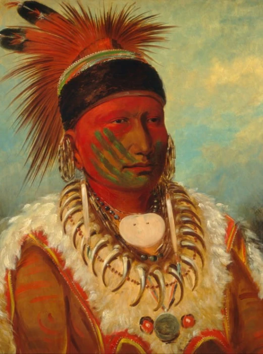 george-catlin-the-white-cloud-head-chief-of-the-iowas-1844-1845-puzzle-2000-pieces.45864-1.fs.jpg