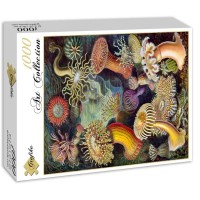 ernst-haeckel-anemones-de-mer-1904-puzzle-1000-pieces_46893-2_fs.jpg