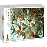 ernst-haeckel-les-trochilides-1904-puzzle-1000-pieces_46894-2_fs.jpg