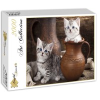 chatons-en-pots-puzzle-2000-pieces.55581-2.fs.jpg