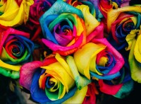 roses-puzzle-2000-pieces.54816-1.fs.jpg