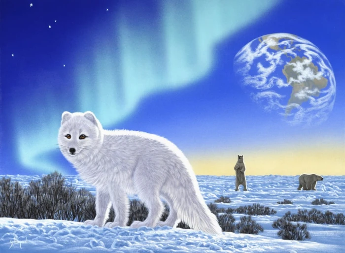 schim-schimmel-artic-fox-puzzle-2000-pieces.61684-1.fs.jpg