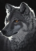 schim-schimmel-night-wolf-puzzle-2000-pieces.59872-1.fs.jpg