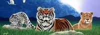 schim-schimmel-shared-world-puzzle-2000-pieces.61726-1.fs.jpg