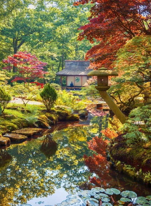 foret-zen-puzzle-2000-pieces.55252-1.fs.jpg
