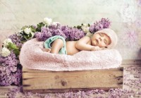 konrad-bak-baby-sleeping-in-the-lilac-jigsaw-puzzle-1000-pieces.55640-1.fs.jpg