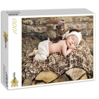 konrad-bak-baby-and-owl-jigsaw-puzzle-1000-pieces.55656-2.fs.jpg