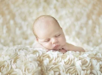 konrad-bak-baby-sleeping-in-the-roses-jigsaw-puzzle-2000-pieces.55635-1.fs.jpg