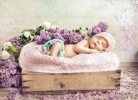 konrad-bak-baby-sleeping-in-the-lilac-jigsaw-puzzle-2000-pieces.55639-1.fs.jpg