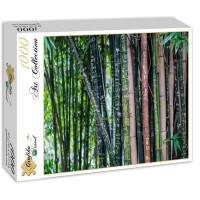bambou-puzzle-1000-pieces.54095-2.fs.jpg