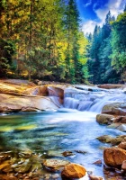 belle-cascade-dans-la-foret-puzzle-1000-pieces.63503-1.fs.jpg