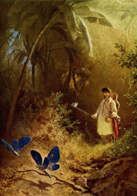 Grafika 1000 - Carl Spitzweg : Le Chasseur de Papillons, 1840 ( Łowca motyli )