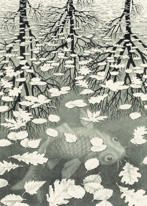 mc-escher-three-worlds-jigsaw-puzzle-1000-pieces_60670-1_fs.jpg