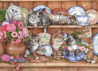 Anatolian 1000 - Debbie Cook, The kittens