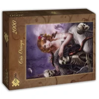 memento-mori-jigsaw-puzzle-2000-pieces_58056-2_fs.jpg