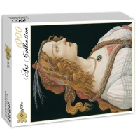 sandro-botticelli-portrait-de-jeune-femme-1494-puzzle-1000-pieces.53653-2.fs.jpg
