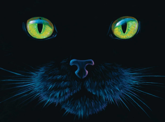charles-lynn-bragg-black-cat-puzzle-1000-pieces.64282-1.fs.jpg