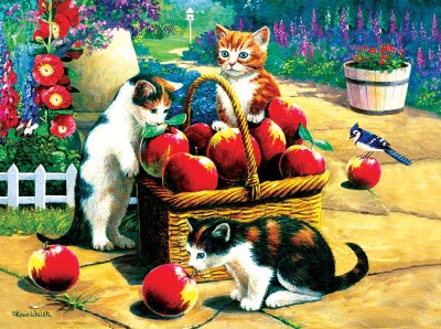 SunsOut 1000 - Kevin Walsh - We Found A Bumper Crop