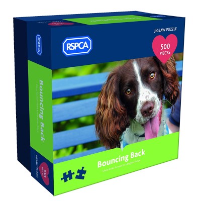 Gibsons 500 - RSPCA Bouncing Back
