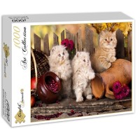 persian-kittens-jigsaw-puzzle-1000-pieces.51684-2.fs.jpg