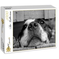 dog-jigsaw-puzzle-1000-pieces.54222-2.fs.jpg