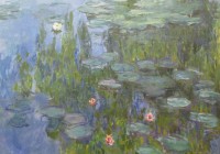 claude-monet-nympheas-1915-puzzle-1000-pieces.45348-1.fs.jpg