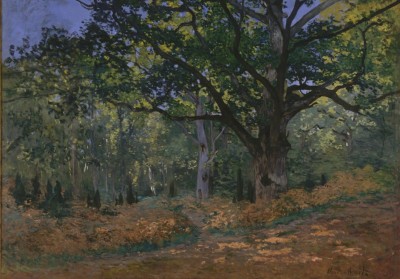 Grafika 1000 - Claude Monet : Fontainebleau, 1865