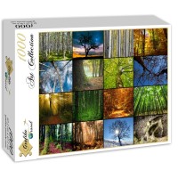 collage-arbres-puzzle-1000-pieces.54094-2.fs.jpg