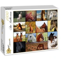 collage-chevaux-puzzle-1000-pieces.52508-2.fs.jpg