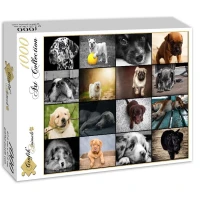collage-chiens-puzzle-1000-pieces.52509-2.fs.jpg
