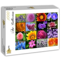 collage-fleurs-de-printemps-puzzle-1000-pieces.52575-2.fs.jpg