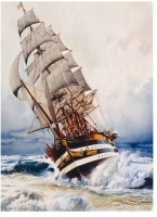 perre-anatolian-black-pearl-jigsaw-puzzle-1000-pieces.42875-1.fs.jpg