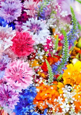 Grafika 1000 - Flower explosion (Eksplozja kwiatów)